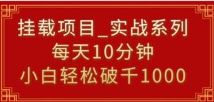 挂载项目，小白轻松破1000，每天10分钟，实战系列保姆级教程-大磊资源网
