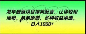 龙年最新项目爆笑配音，让你轻松涨粉，条条原创，多种收益渠道，日入1000+【揭秘】-大磊资源网