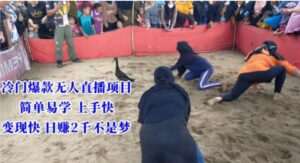 冷门爆款无人直播项目，简单易学上手快，变现快日赚2千不是梦【揭秘】-大磊资源网