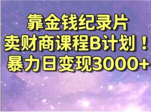 靠金钱纪录片卖财商课程B计划！暴力日变现3000+，喂饭式干货教程！-大磊资源网