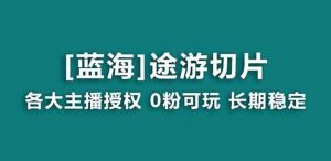 抖音途游切片，龙年第一个蓝海项目，提供授权和素材，长期稳定，月入过万-大磊资源网