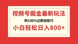 视频号掘金，小白轻松日入800+-大磊资源网
