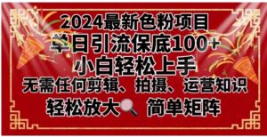 2024最新换脸项目，小白轻松上手，单号单月变现3W＋，可批量矩阵操作放大-大磊资源网