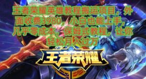 王者荣耀英雄教程搬运项目，外面收费3980，小白也能上手，几乎零成本，保姆式教程，让你轻松月入过万-大磊资源网