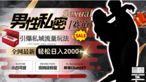 全网最新男性私密赛道玩法，引爆私域流量，轻松日入2000+-大磊资源网