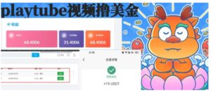 playtube撸美金项目，单日收益30美金+工作室可批量搞-大磊资源网
