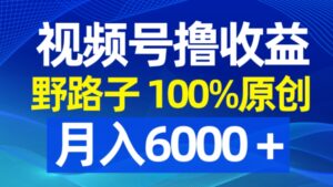 视频号野路子撸收益，100%原创，条条爆款，月入6000＋-大磊资源网