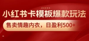 小红书卡模板爆款玩法，售卖情趣内衣，日盈利500+【揭秘】-大磊资源网