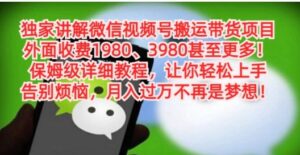 独家讲解微信视频号搬运带货项目，保姆级详细教程-大磊资源网