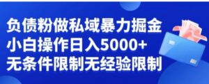 负债粉私域暴力掘金，小白操作入5000，无经验限制，无条件限制【揭秘】-大磊资源网