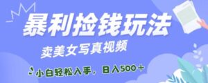 暴利捡钱玩法，卖美女写真视频，100%原创视频，小白轻松上手，单日收益500+-大磊资源网