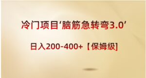 冷门项目‘脑筋急转弯3.0’轻松日入200-400+【保姆级教程】-大磊资源网