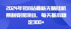 2024年初B站最新无脑挂机暴利变现项目，每天基本稳定300+-大磊资源网