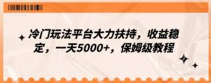 冷门玩法平台大力扶持，收益稳定，一天5000+，保姆级教程-大磊资源网