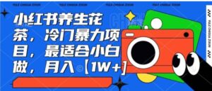 小红书养生花茶，冷门暴力项目，最适合小白做，月入【1W+】-大磊资源网