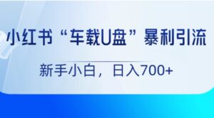 小红书“车载U盘”项目，暴利引流，新手小白轻松日入700+-大磊资源网
