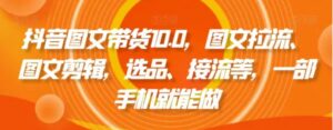 抖音图文带货10.0，图文拉流、图文剪辑，选品、接流等，一部手机就能做-大磊资源网
