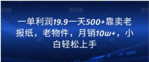 一单利润19.9一天500+靠卖老报纸，老物件，月销10w+，小白轻松上手-大磊资源网
