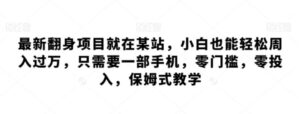 最新翻身项目就在某站，小白也能轻松周入过万，只需要一部手机，零门槛，零投入，保姆式教学-大磊资源网