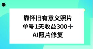 AI照片修复，靠怀旧有意义的照片，一天收益300+-大磊资源网