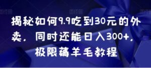 揭秘如何9.9吃到30元的外卖，同时还能日入300+，极限薅羊毛教程-大磊资源网