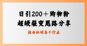 日引200＋购物粉，超级裂变思路，私域卖货新玩法-大磊资源网