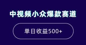 中视频小众爆款赛道，7天涨粉5万+，小白也能无脑操作，轻松月入上万【揭秘】-大磊资源网