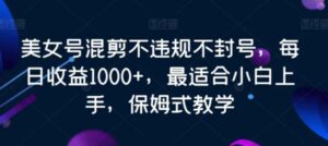 美女号混剪不违规不封号，每日收益1000+，最适合小白上手，保姆式教学-大磊资源网