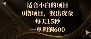 适合小白的项目，0撸项目，我出资金，每天15秒，一单利润600-大磊资源网