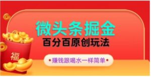 全网独家，微头条百分百原创玩法，5分钟一篇文章，隔天见收益，无脑日入300-大磊资源网