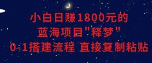 小白能日赚1800元的蓝海项目”释梦”0-1搭建流程可直接复制粘贴长期做-大磊资源网