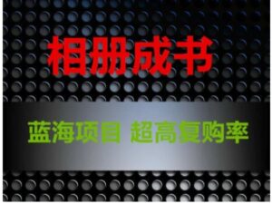 相册成书，蓝海项目，认真操作月入过万-大磊资源网