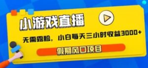 小游戏直播，假期风口项目，无需露脸，小白每天三小时，到账3000+-大磊资源网