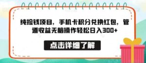 纯捡钱项目，手机卡积分兑换红包，管道收益无脑操作轻松日入300+-大磊资源网