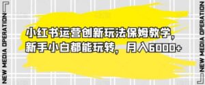 小红书运营创新玩法保姆教学，新手小白都能玩转，月入6000+【揭秘】-大磊资源网