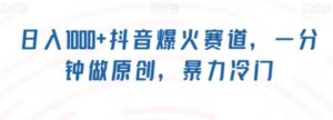 日入1000+抖音爆火赛道，一分钟做原创，暴力冷门-大磊资源网
