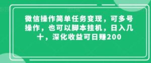 微信操作简单任务变现，可多号操作，也可以脚本挂机，日入几十，深化收益可日赚200【揭秘】-大磊资源网