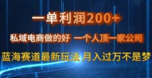 一单利润200私域电商做的好，一个人顶一家公司蓝海赛道最新玩法【揭秘】-大磊资源网