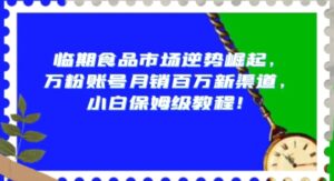 临期食品市场逆势崛起，万粉账号月销百万新渠道，小白保姆级教程【揭秘】-大磊资源网