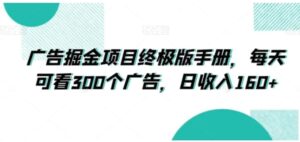 广告掘金项目终极版手册，每天可看300个广告，日收入160+【揭秘】-大磊资源网