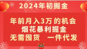 年前月入3万+的机会，烟花暴利掘金，无需囤货，一件代发-大磊资源网
