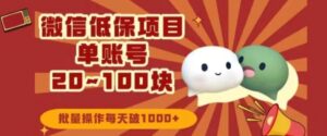 微信领低保单账号20元-100元，批量操作每天破1000+-大磊资源网