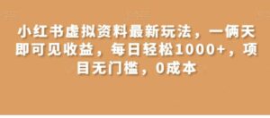 小红书虚拟资料最新玩法，一俩天即可见收益，每日轻松1000+，项目无门槛，0成本-大磊资源网