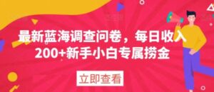 最新蓝海调查问卷，每日收入200+新手小白专属捞金-大磊资源网