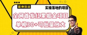 全网首发红果免费短剧掘金项目，单机30+可批量放大【揭秘】-大磊资源网
