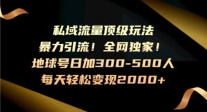 暴力引流，全网独家，地球号日加300-500人，私域流量顶级玩法，每天轻松变现2000+-大磊资源网