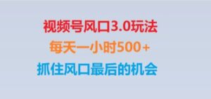视频号风口3.0玩法单日收益1000+,保姆级教学,收益太猛,抓住风口最后的机会【揭秘】-大磊资源网