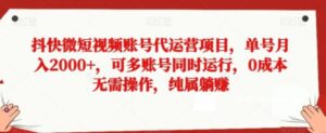 抖快微短视频账号代运营项目，单号月入2000+，可多账号同时运行，0成本无需操作，纯属躺赚【揭秘】-大磊资源网