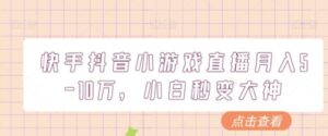 快手抖音小游戏直播月入5-10万，小白秒变大神-大磊资源网