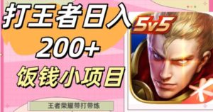 打王者日入200+，饭钱小项目，王者荣耀带打带练-大磊资源网